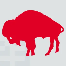 Buffalo bills 1